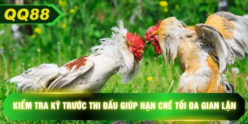 Kiểm tra kỹ trước thi đấu giúp hạn chế tối đa gian lận